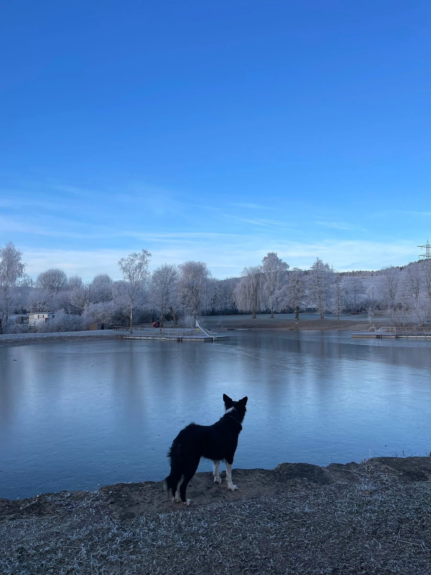 Basiskurs bei Steffi