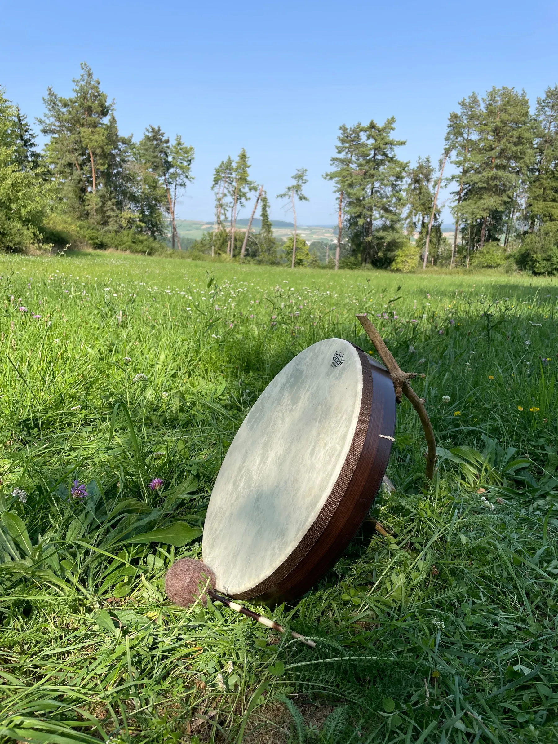 Eine Rahmentrommel liegt auf der Sommerwiese