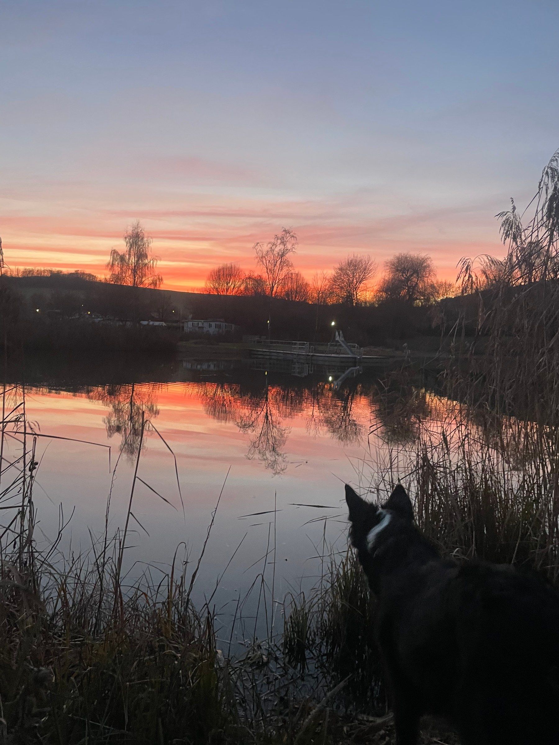 Abendrot über dem See, davor die Silhouette eines Hundes