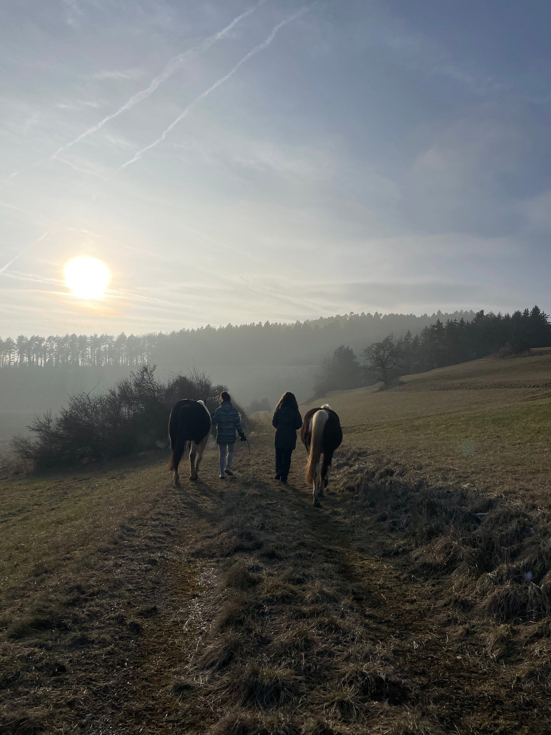 Zwei Menschen gehen mit ihren Pferden durch den Morgennebel