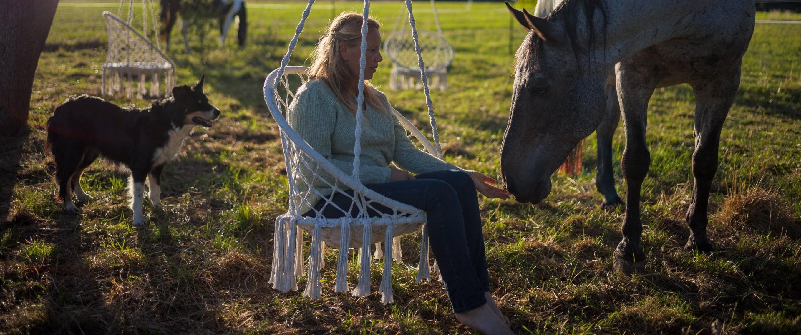 Steffi sitzt im Hängestuhl auf der Wiese, ein Pferd kommt zu ihr, ihr Hund steht daneben – Abendlicht