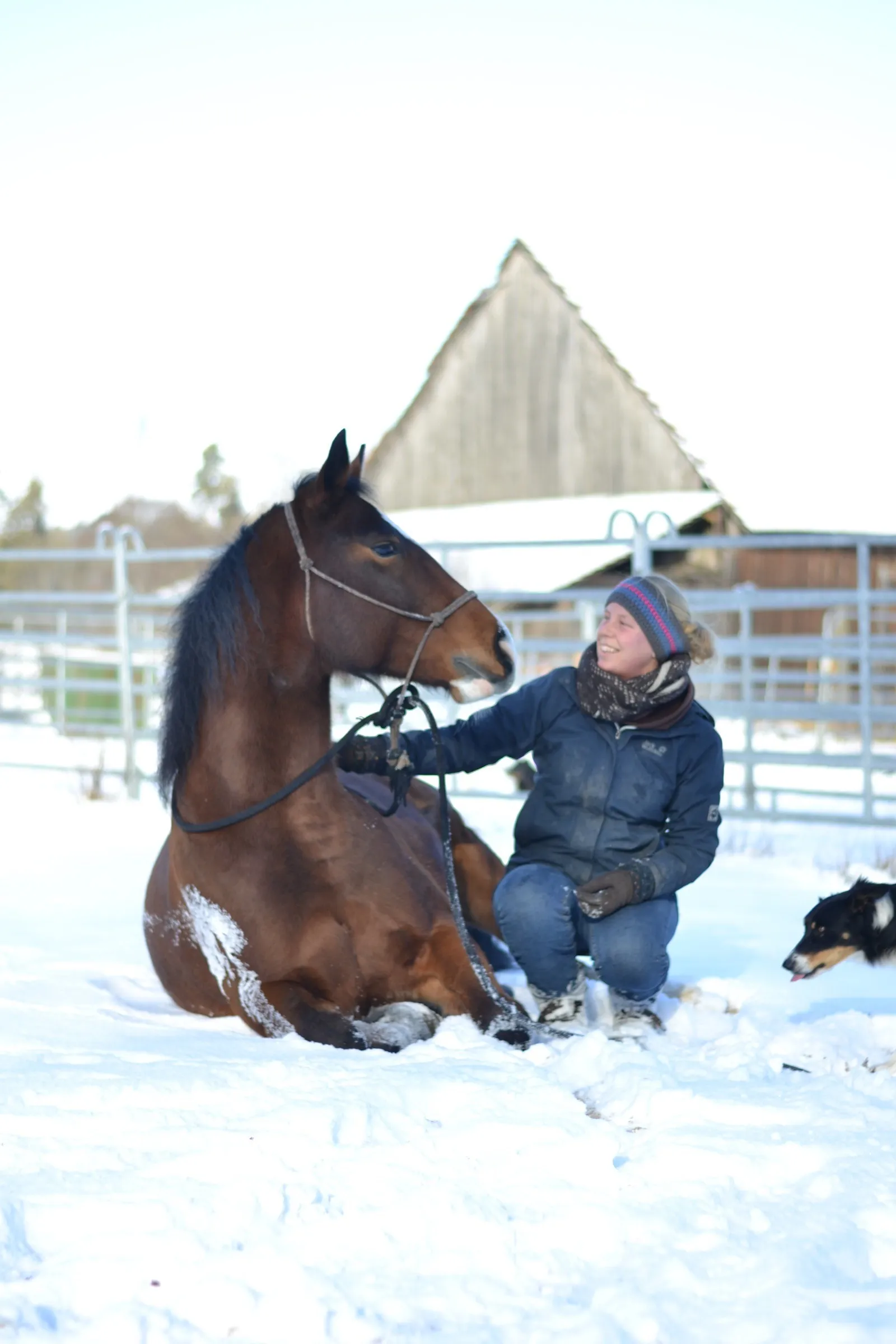 Steffi kniet lachend neben ihrem liegenden Pferd im Schnee