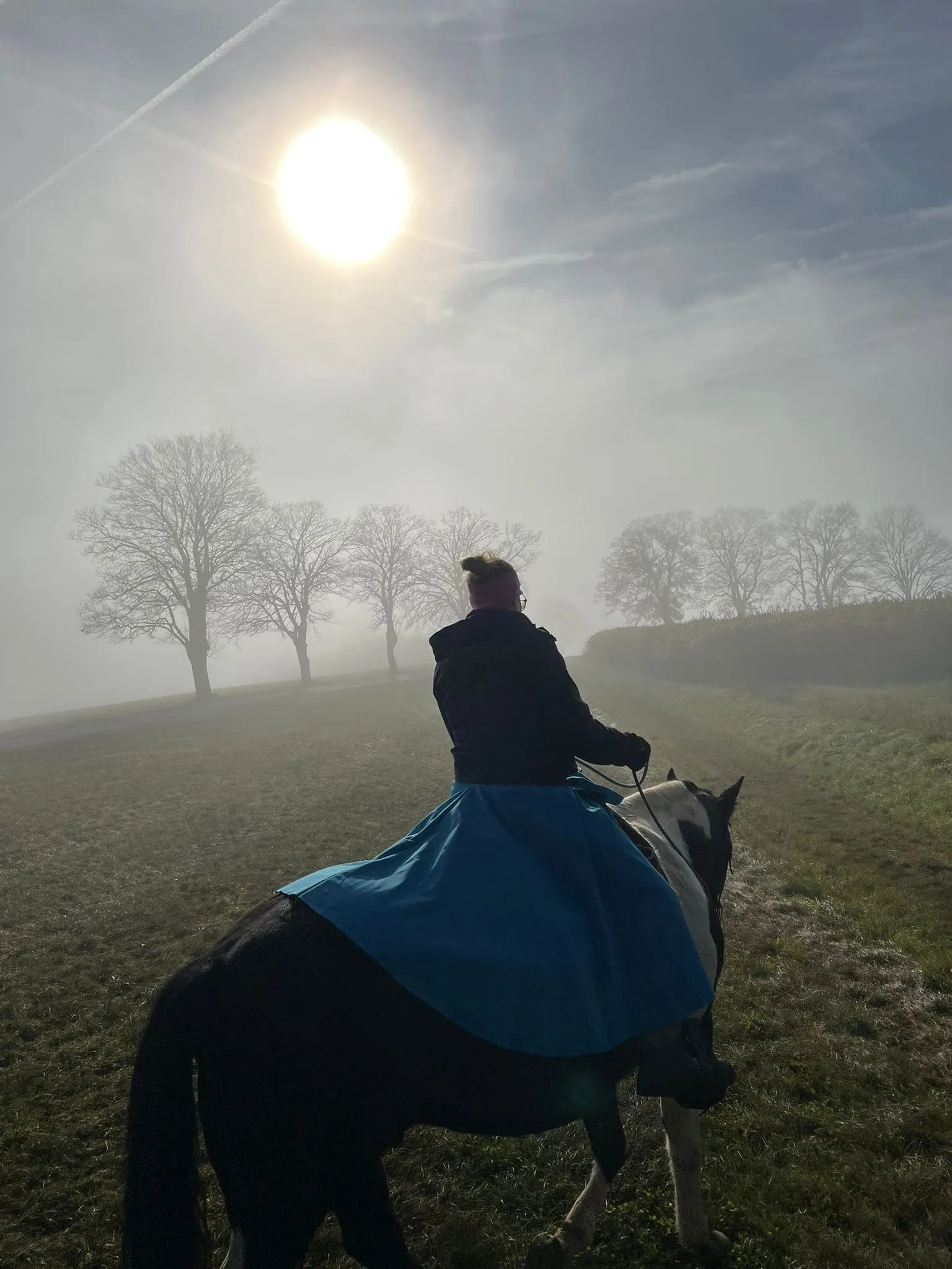 Steffi reitet im Morgennebel über die Wiese, die Bäume stehen als Silhouetten dahinter