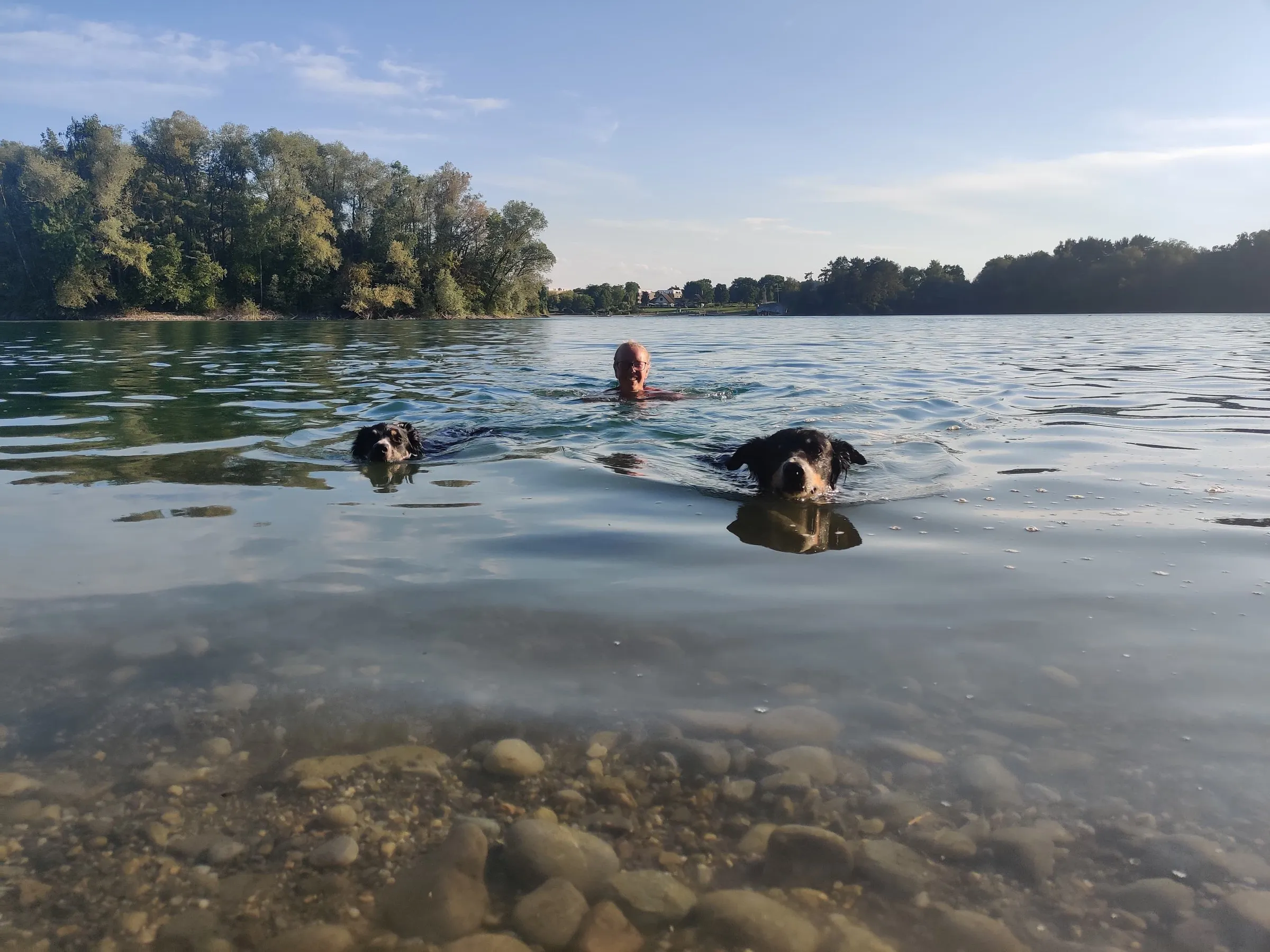 Steffi schwimmt im See, ihre beiden Hunde schwimmen neben ihr